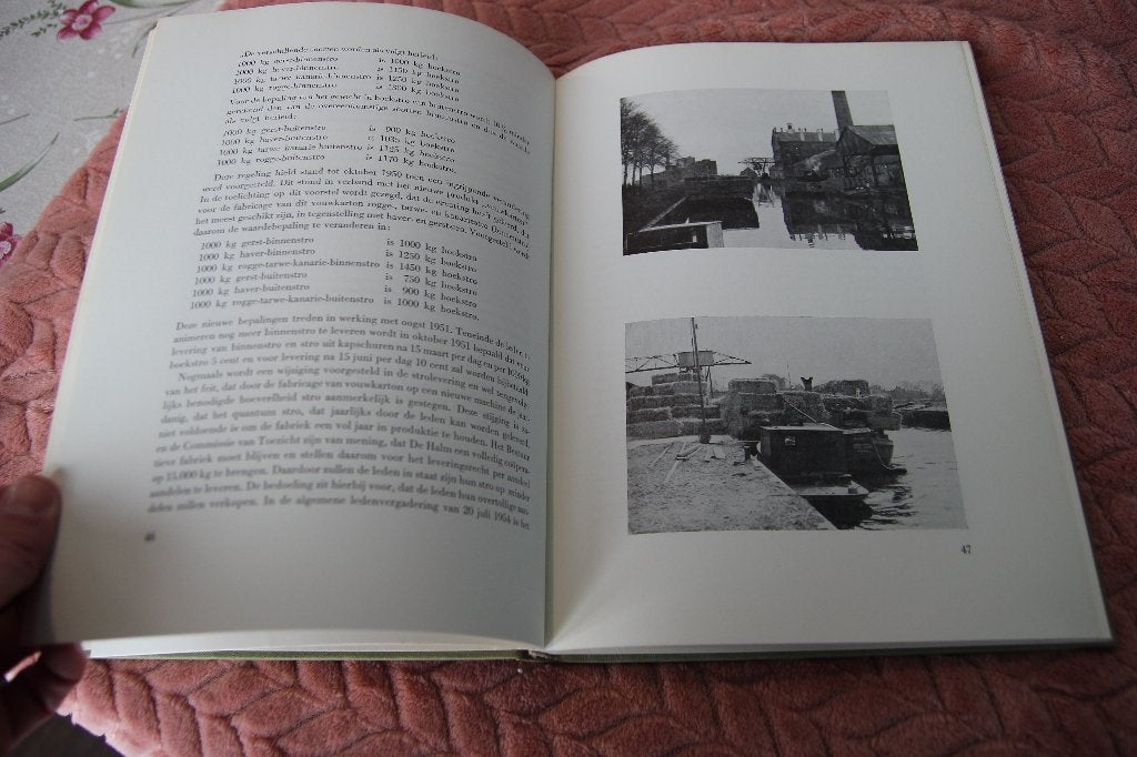 De Halm 1913-1963. Stroocartonfabriek Hoogkerk, Ophalen of Verzenden, Gelezen