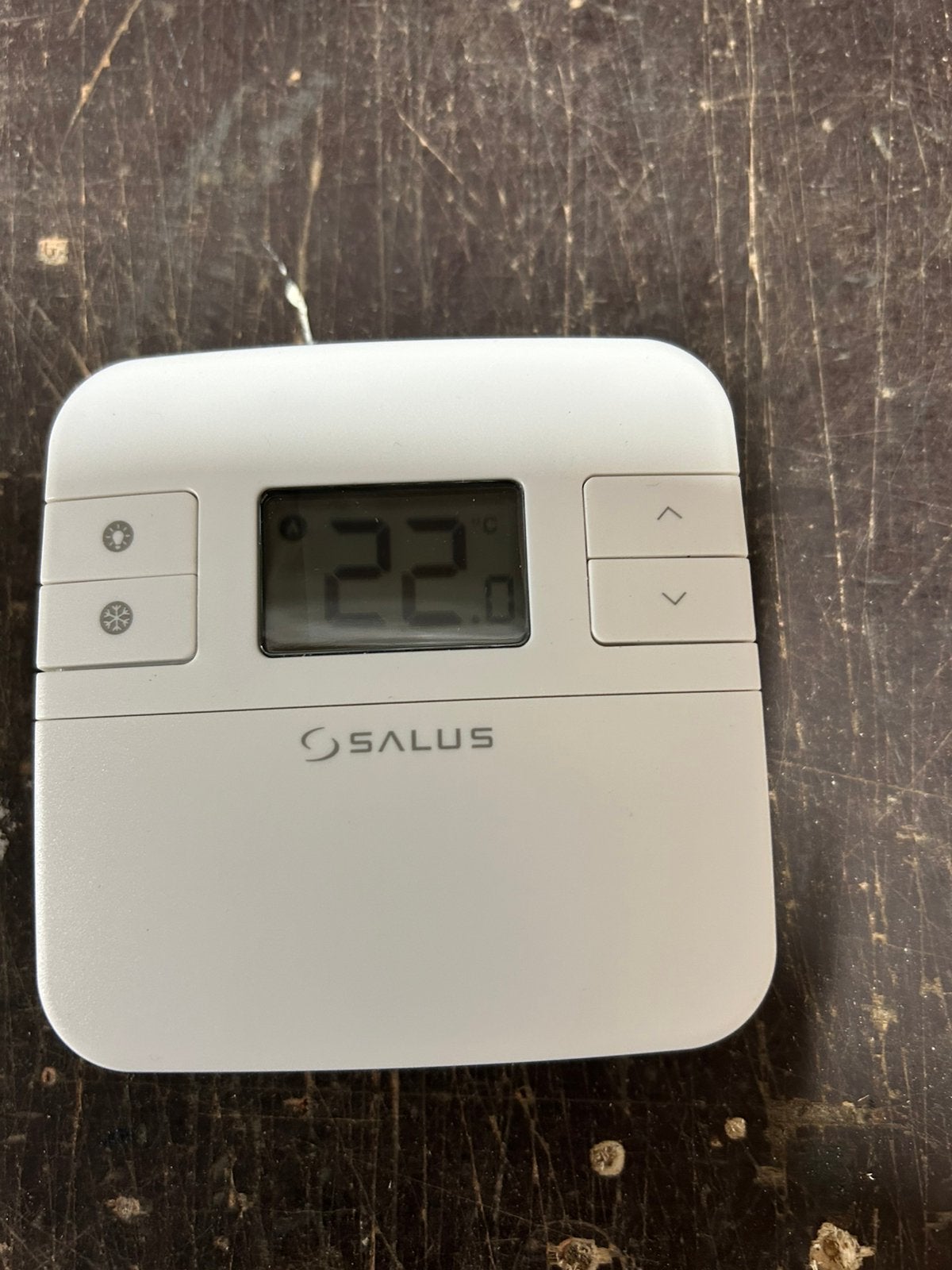 Thermostaat Salus, Ophalen of Verzenden, Nieuw