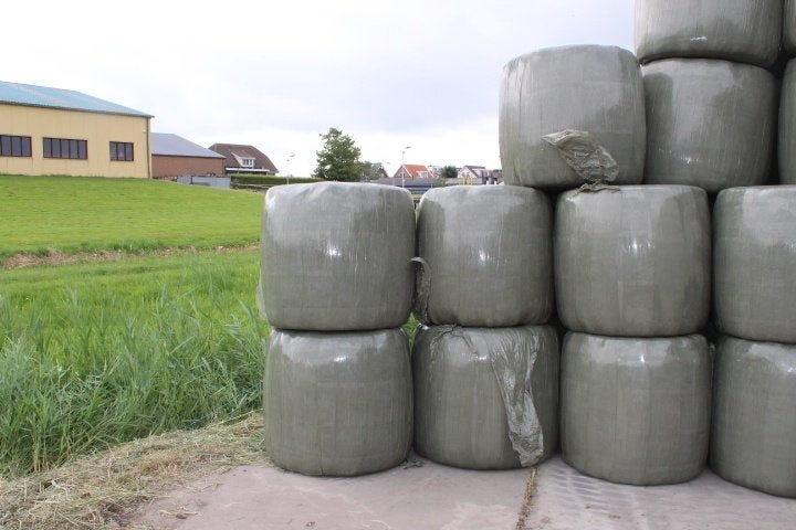 Midibalen hooi, Ophalen, Vee