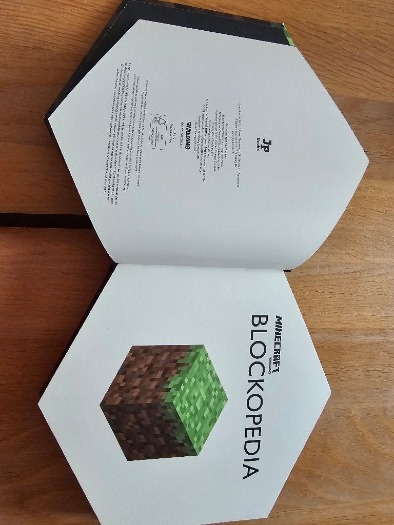 Minecraft boek 311 blz, Ophalen, Zo goed als nieuw, Fictie algemeen