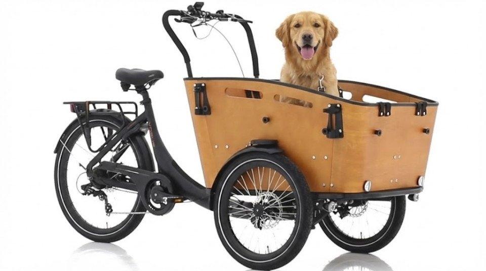 Foto 2 van Betaalbare elektrische bakfiets & bakfietsen voor gezinnen