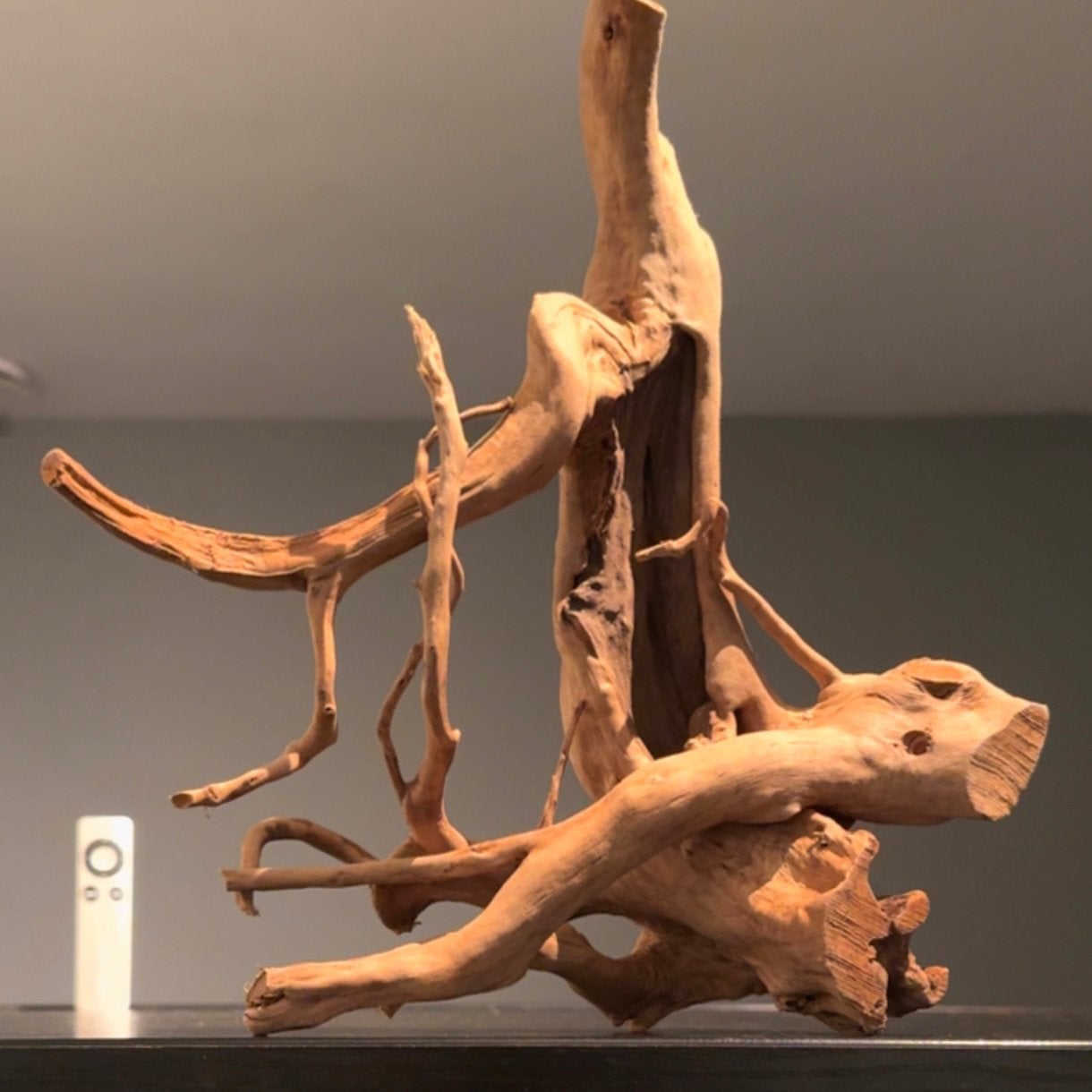 Uniek stuk Spiderwood / Driftwood / Kienhout, Hout Decoratie, Ophalen of Verzenden, Zo goed als nieuw
