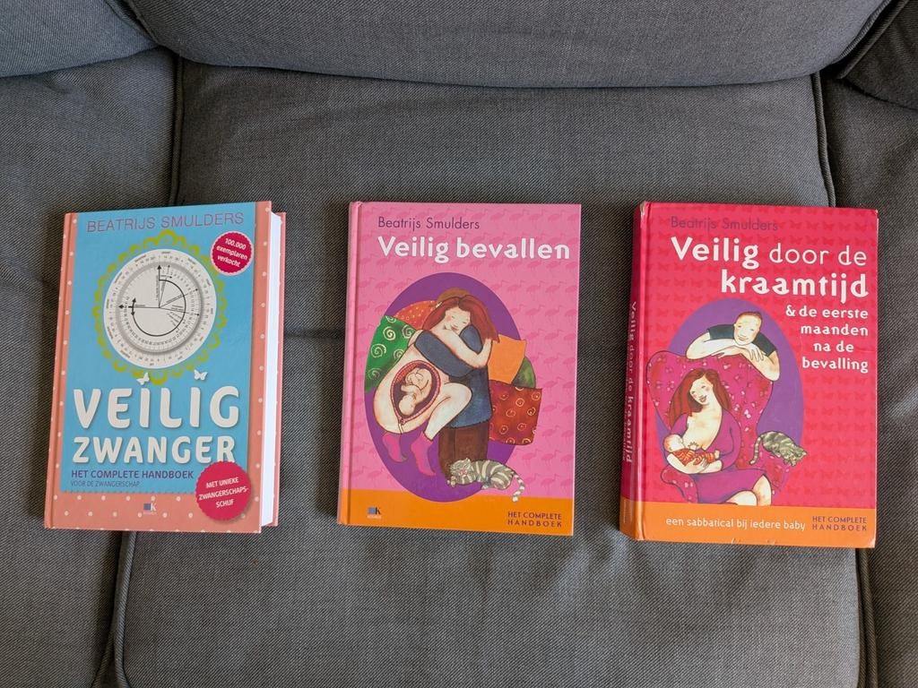 Veilig Zwanger & Veilig Bevallen - Beatrijs Smulders, Boeken, Zwangerschap en Opvoeding, Ophalen of Verzenden, Nieuw, Zwangerschap en Bevalling