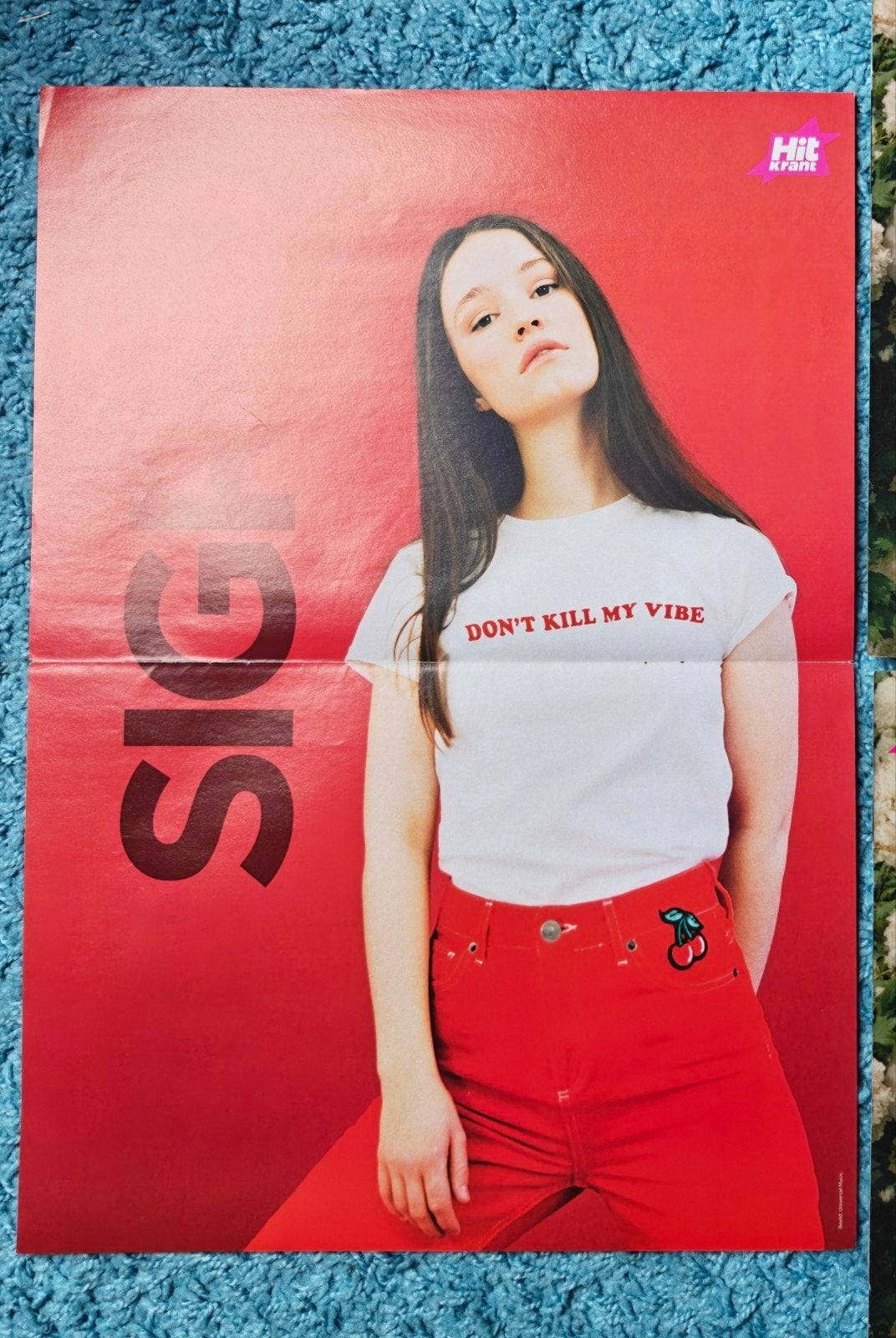 Sigrid poster hitkrant, Rechthoekig Staand, Nieuw, Ophalen of Verzenden, A1 t/m A3