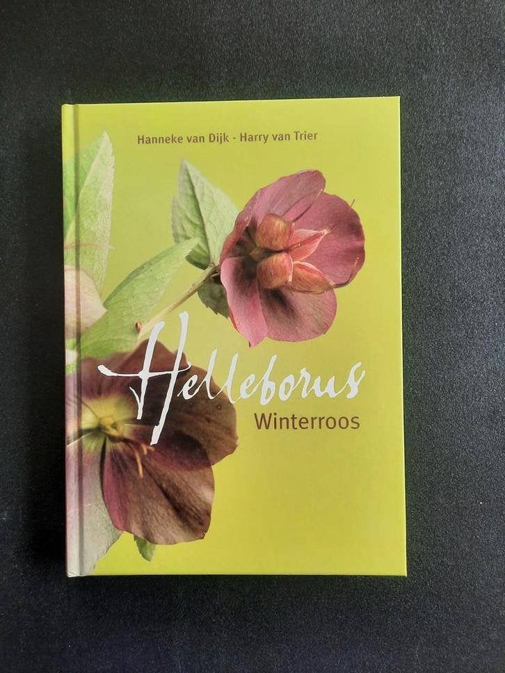 Helleborus. Hanneke van Dijk - Harry van Trier, Ophalen of Verzenden, Zo goed als nieuw, Van Dijk & van Trier, Tuinieren en Tuinplanten