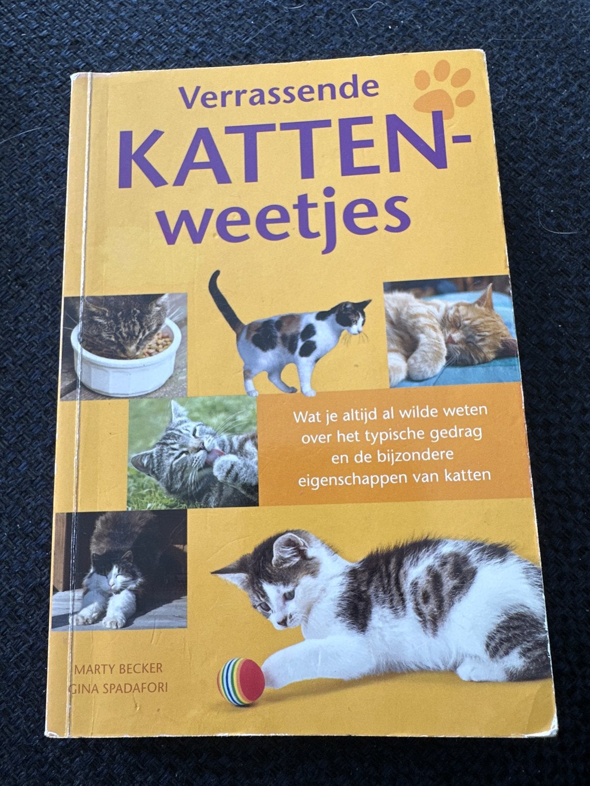Verrassende Kattenweetjes - Alles over katten, Ophalen of Verzenden, Gelezen, Katten