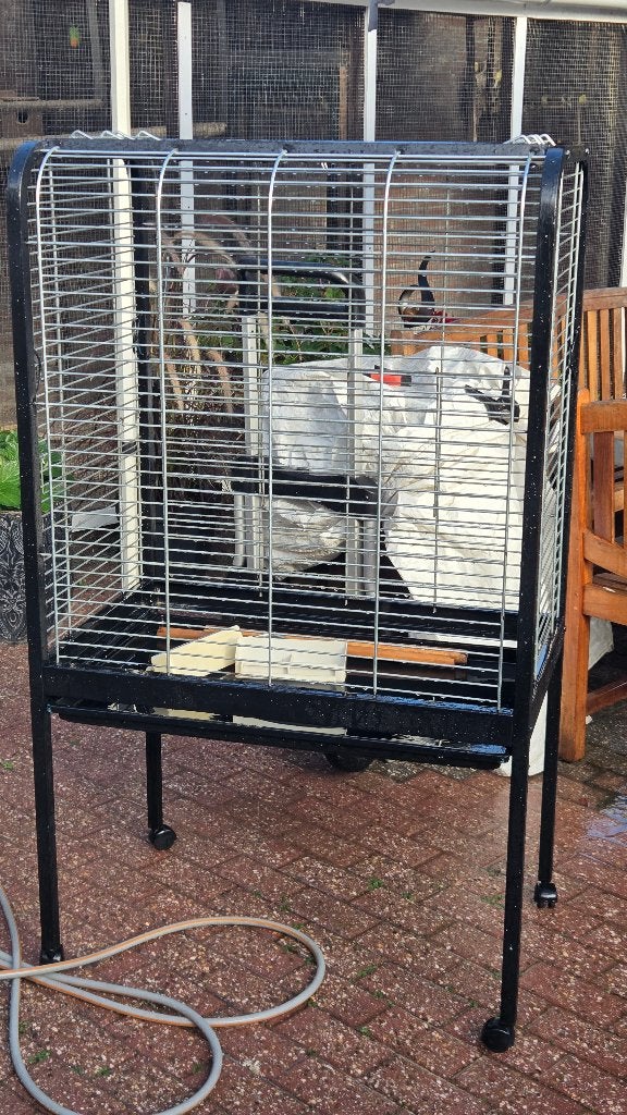 papagaaienkooi, Dieren en Toebehoren, Ophalen, Gebruikt, Metaal, Vogelkooi