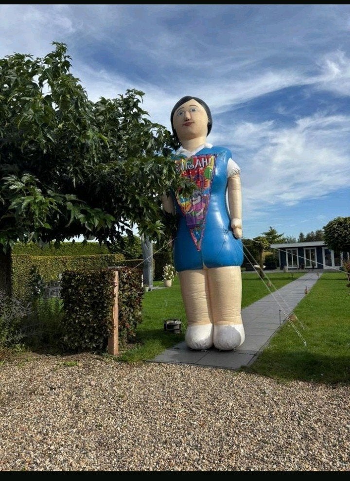 Sarah pop 4 meter hoog te huur!, Ophalen
