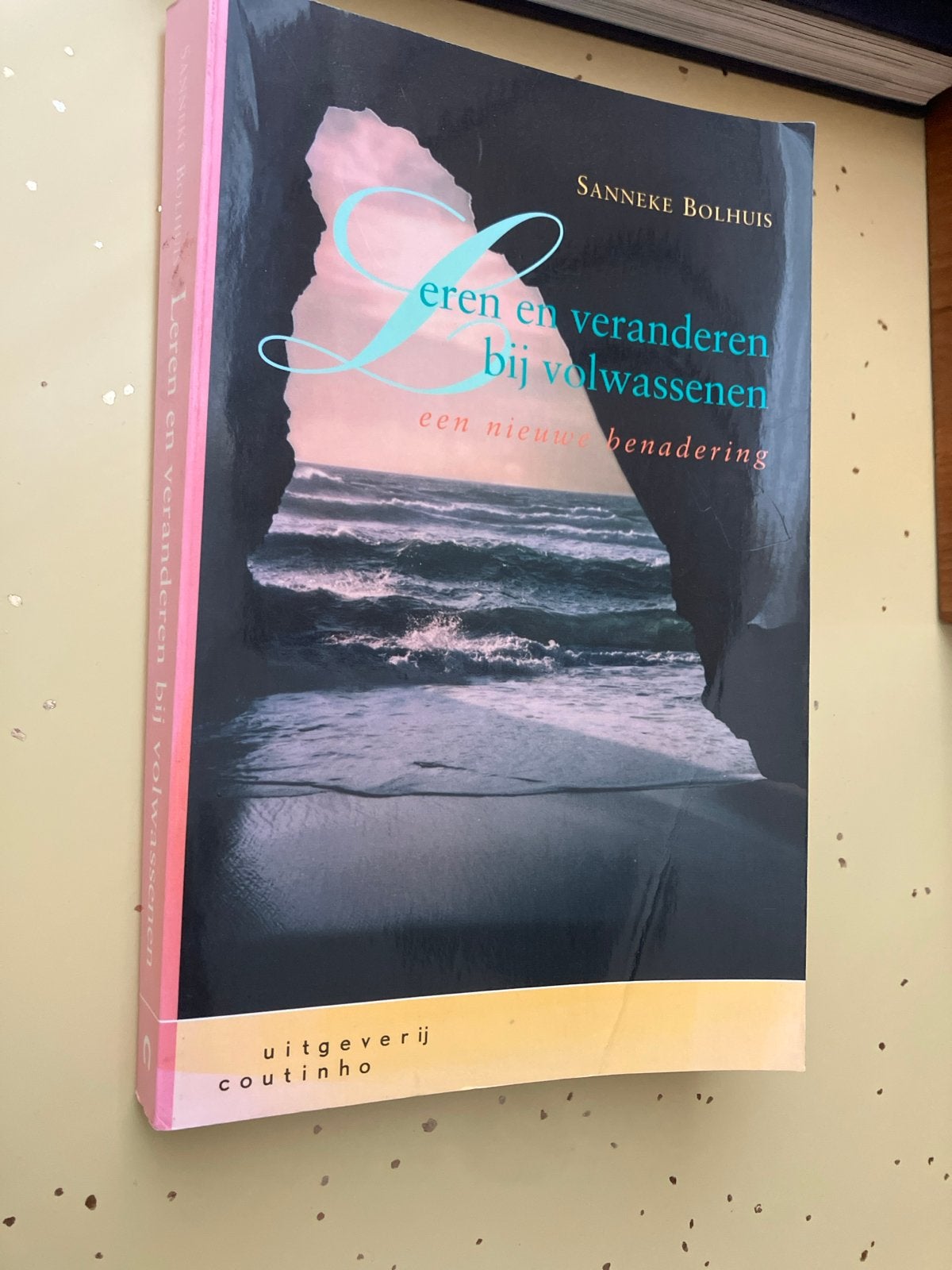 Leren en veranderen bij volwassenen - Sanneke Bolhuis, Ophalen of Verzenden, Gamma, Gelezen, HBO