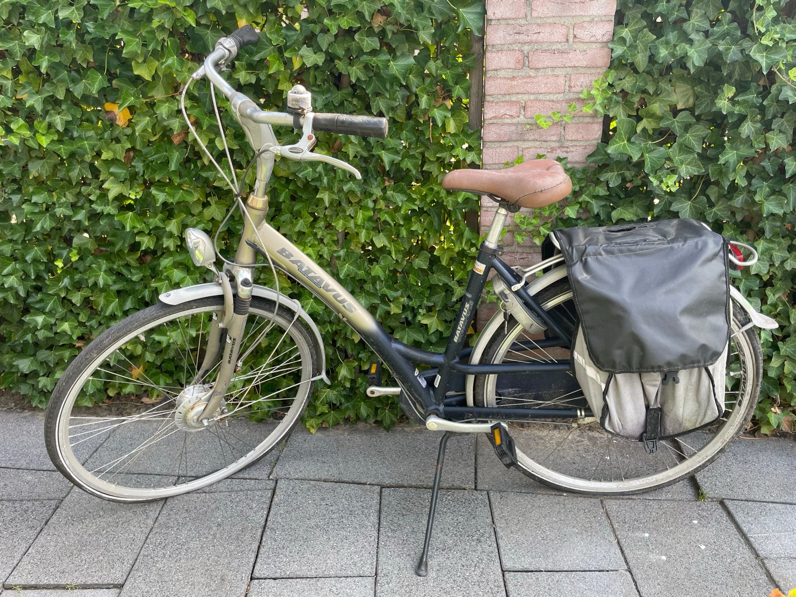Batavus Green Park Damesfiets, Ophalen, Gebruikt, Velgrem, Versnellingen