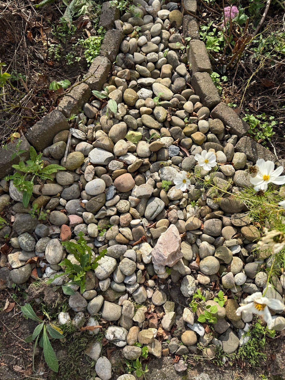 Decoratieve kiezelstenen voor tuin of pad, Tuin en Terras, Ophalen, Gebruikt, Multi, Grind
