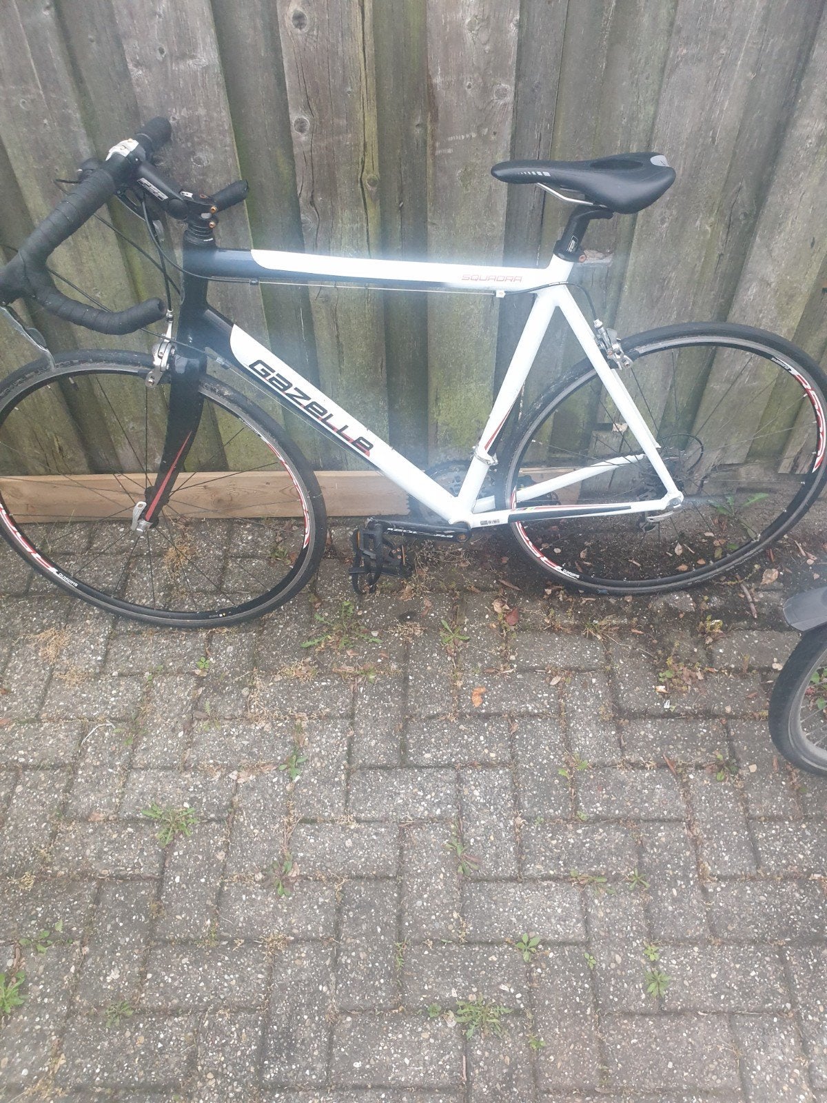 Prachtig racefiets van gazelle squadra, Ophalen of Verzenden, Zo goed als nieuw