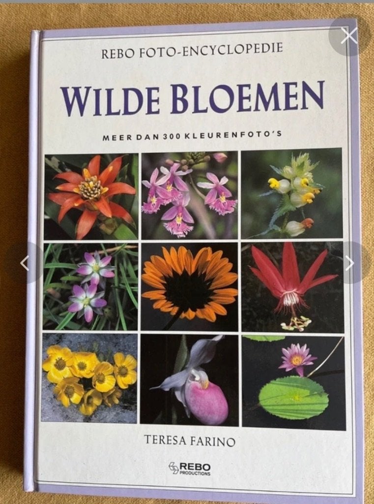 Wilde Bloemen encyclopedie, Boeken, Teresa farino, Ophalen of Verzenden, Zo goed als nieuw, Los deel