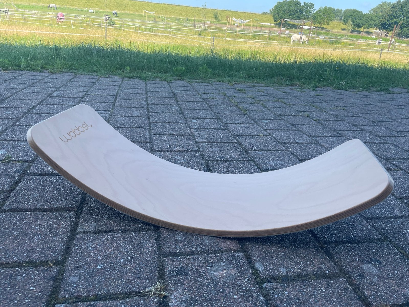 Wobbel Board - Licht gebruikt, vilt in perfecte staat, Ophalen, Gebruikt, Jongen of Meisje