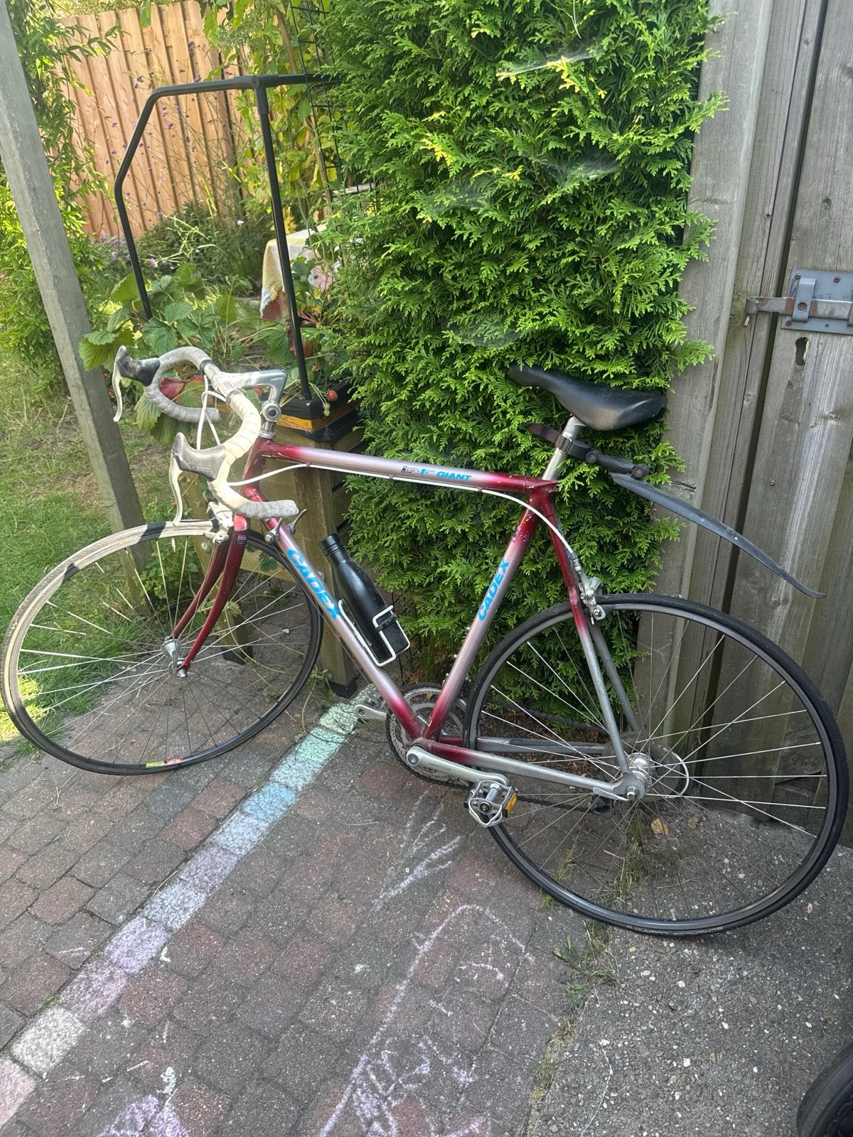 Giant Cadex racefiets - Klassieke carbon racefiets, Fietsen en Brommers, Fietsen | Racefietsen, Ophalen, 28 inch, Gebruikt, Carbon