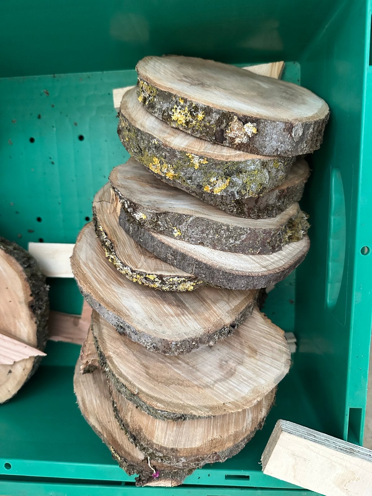 Boomstam onderzetters/decoratie & flessen met strik, Hout, Gebruikt, Ophalen of Verzenden, Landelijk