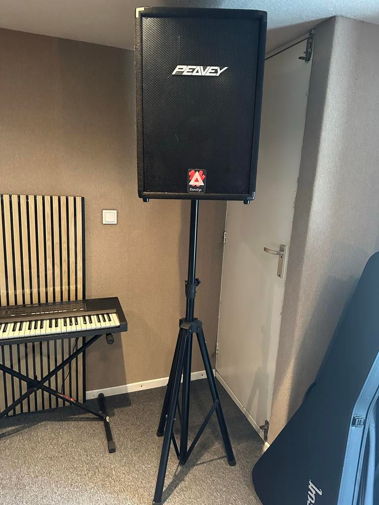 Peavey EuroSys 3 P.A. Yamaha EMX 66m, Ophalen, Gebruikt, Minder dan 500 watt, P.A.