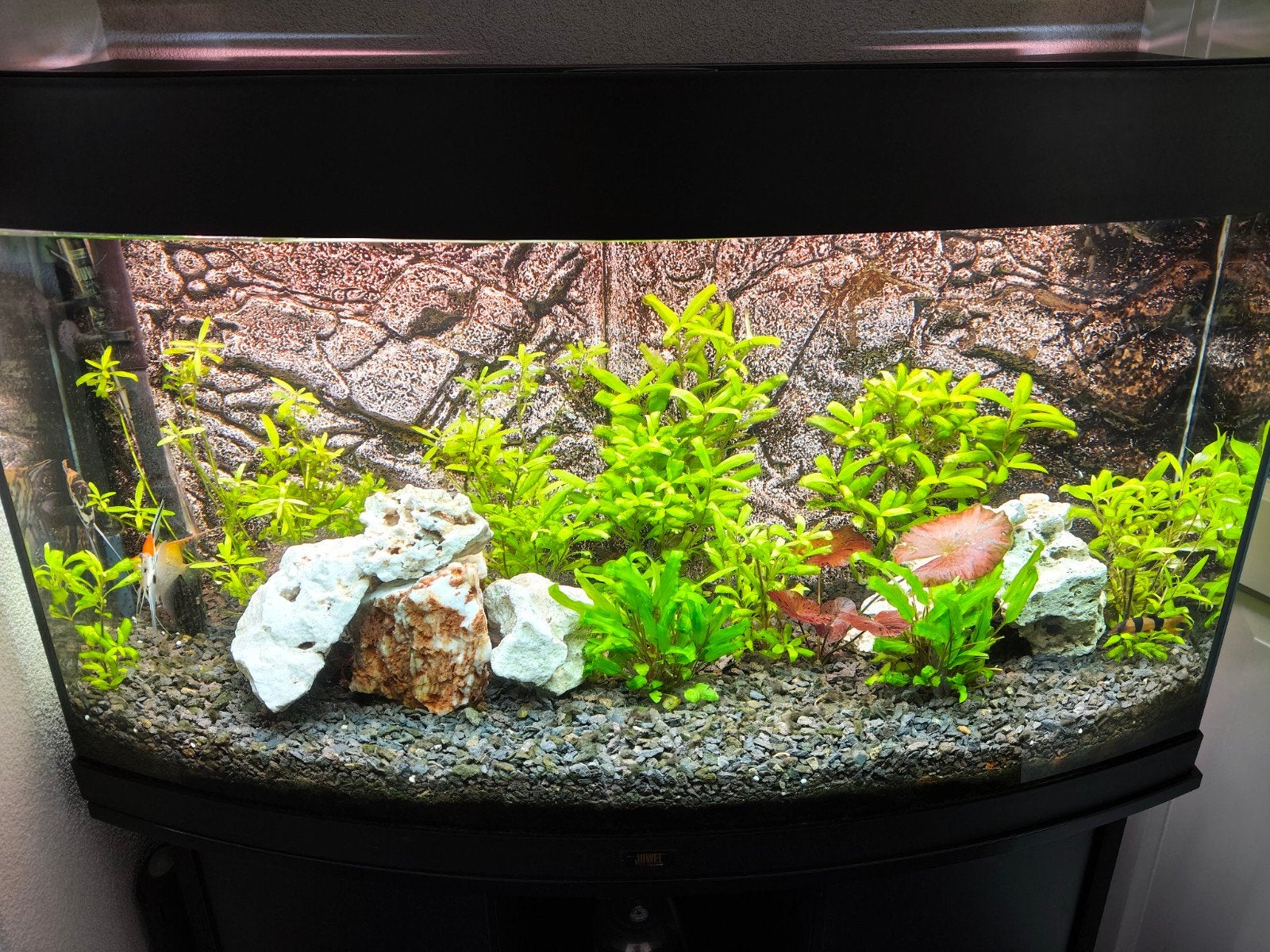 Juwel Vision 180 liter aquarium 92x55x41LxBxD Zeer compleet, Dieren en Toebehoren, Vissen | Aquaria en Toebehoren, Ophalen, Juwel