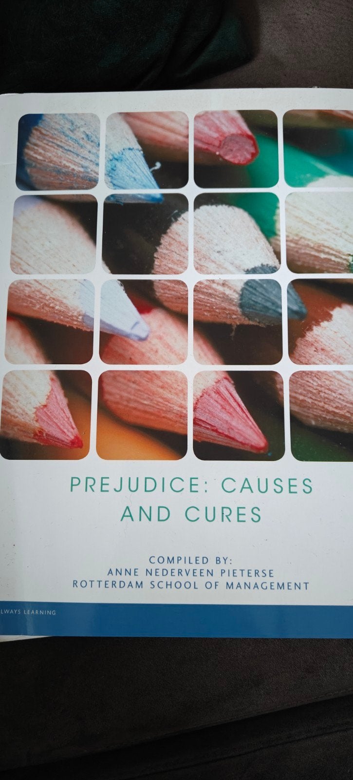 Prejudice: Causes and Cures - Anne Nederveen Pieterse, Anne Nederveen Pieterse, Zo goed als nieuw, Gamma, HBO