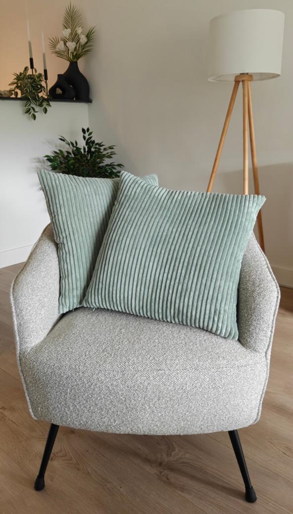 Nieuwe sierkussens met binnenkussens (2 stuks - setprijs), Huis en Inrichting, Woonaccessoires | Kussens, Ophalen of Verzenden