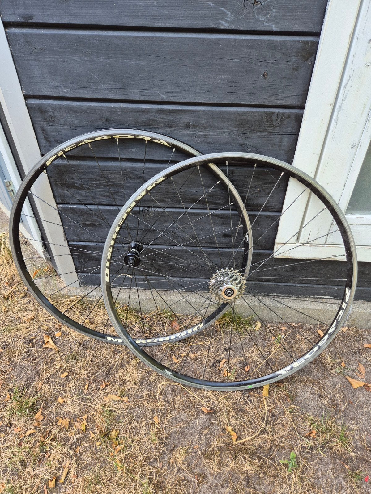 wielset racefiets Marchisio Pitagora voor Campagnolo., Ophalen, Gebruikt, Marchisio, Aluminium