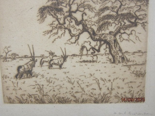 Byz.Mooie ets, lijstje Bokken/ORYX in een weiland Info gevr., Ophalen, Ets