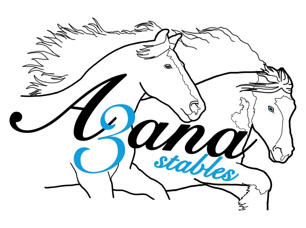Boxhuur bij A3ana Stables per 01-12, Stalling, 2 of 3 paarden of pony's