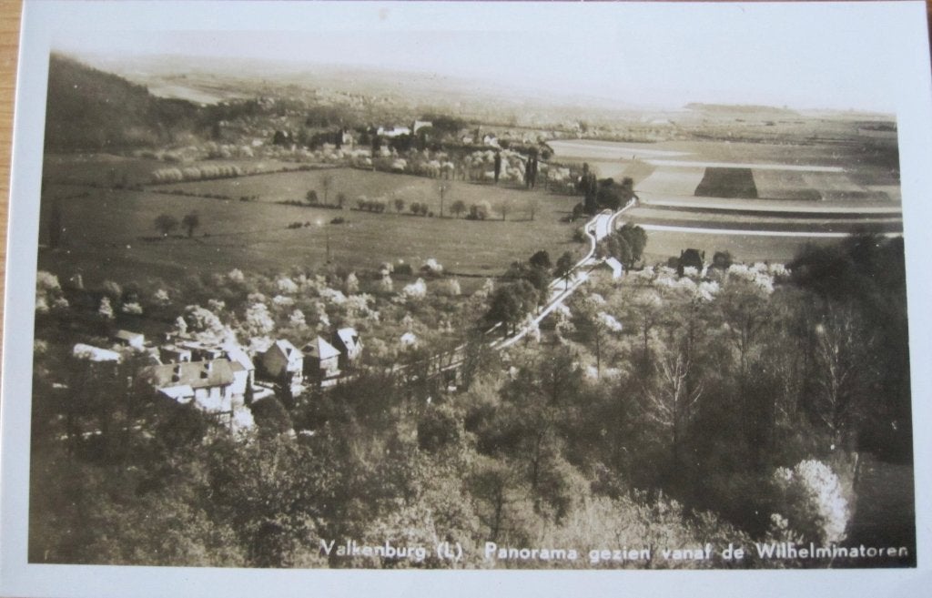 Valkenburg - panorama vanaf de Wilhelminatoren - nieuw, Ophalen of Verzenden, 1940 tot 1960, Ongelopen, Limburg