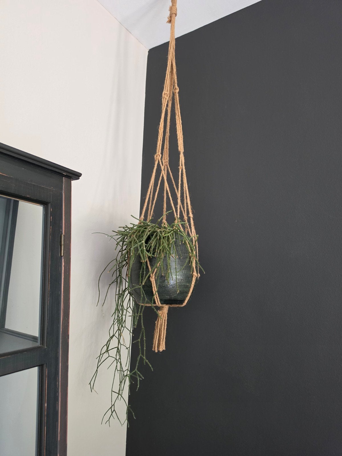 Stoere macramé plantenhanger met donkergroene pot & Rhipsali, Ophalen, Halfschaduw, Minder dan 100 cm