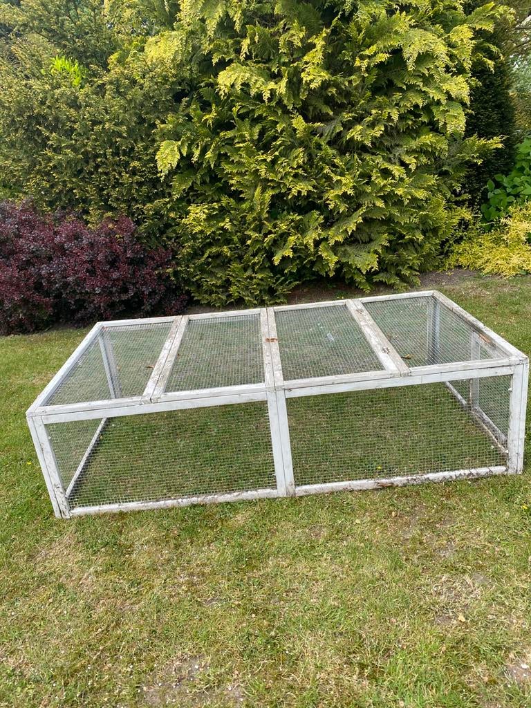 Dierenren, Konijn, Ren, Ophalen, Minder dan 60 cm