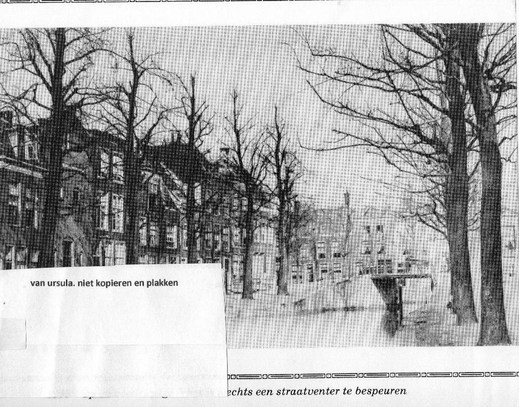 1905 Op de zeer rustige Vliet, Ophalen of Verzenden, Voor 1940, Zo goed als nieuw, Overige onderwerpen
