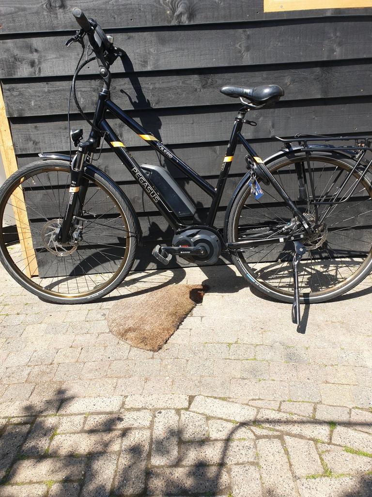 Pegasus Solero E-bike - Comfortabel en Betrouwbaar, Gebruikt, 50 km per accu of meer, 55 tot 59 cm, Ophalen