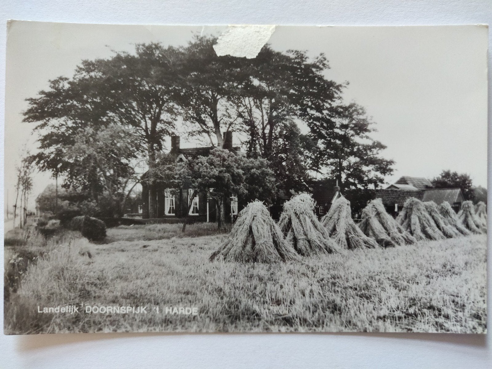 C1094 Doornspijk, Verzamelen, Ansichtkaarten | Nederland, 1920 tot 1940, Ophalen of Verzenden