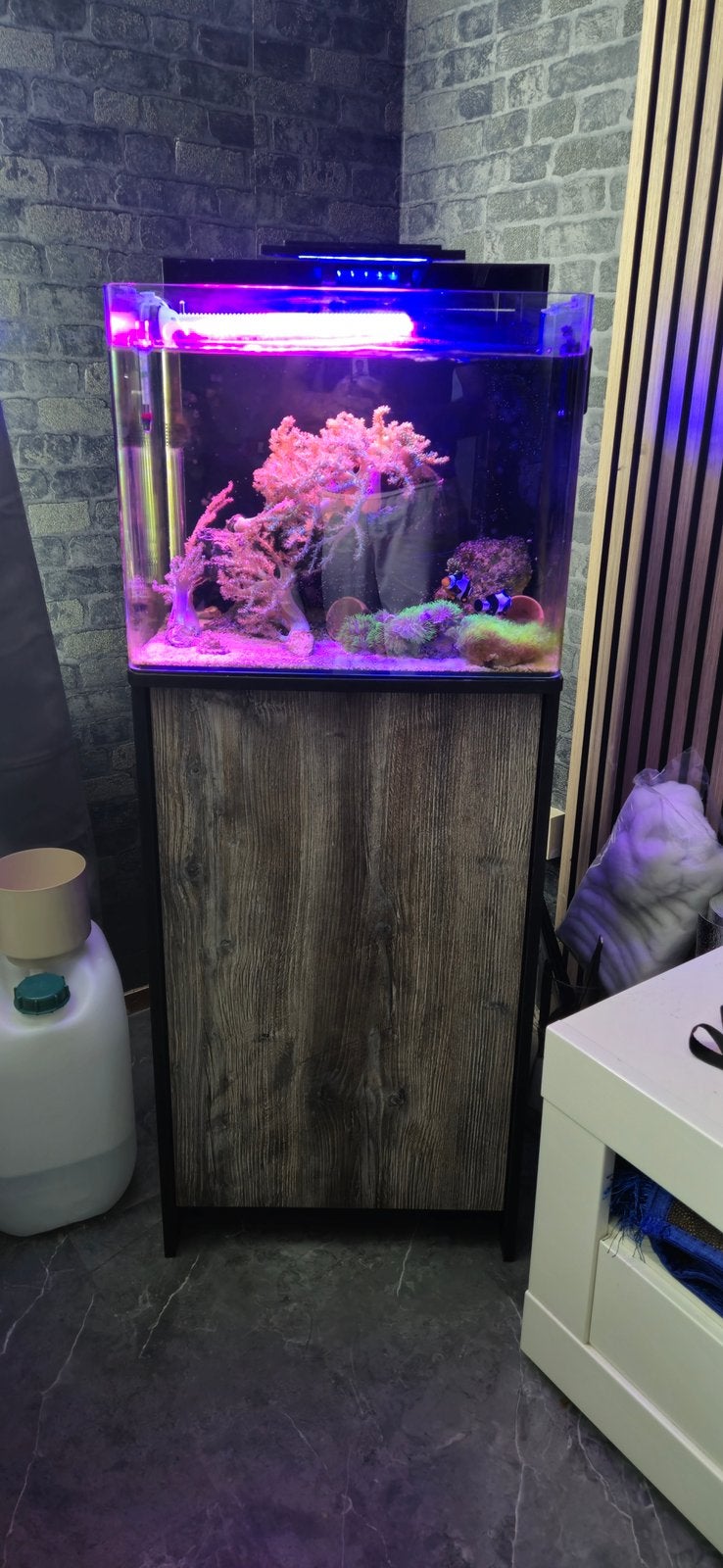 Blue Marine Reef 90 Complete Aquarium Set Minder dan 1 jaar, Dieren en Toebehoren, Vissen | Aquariumvissen, Zoutwatervis, Overige typen
