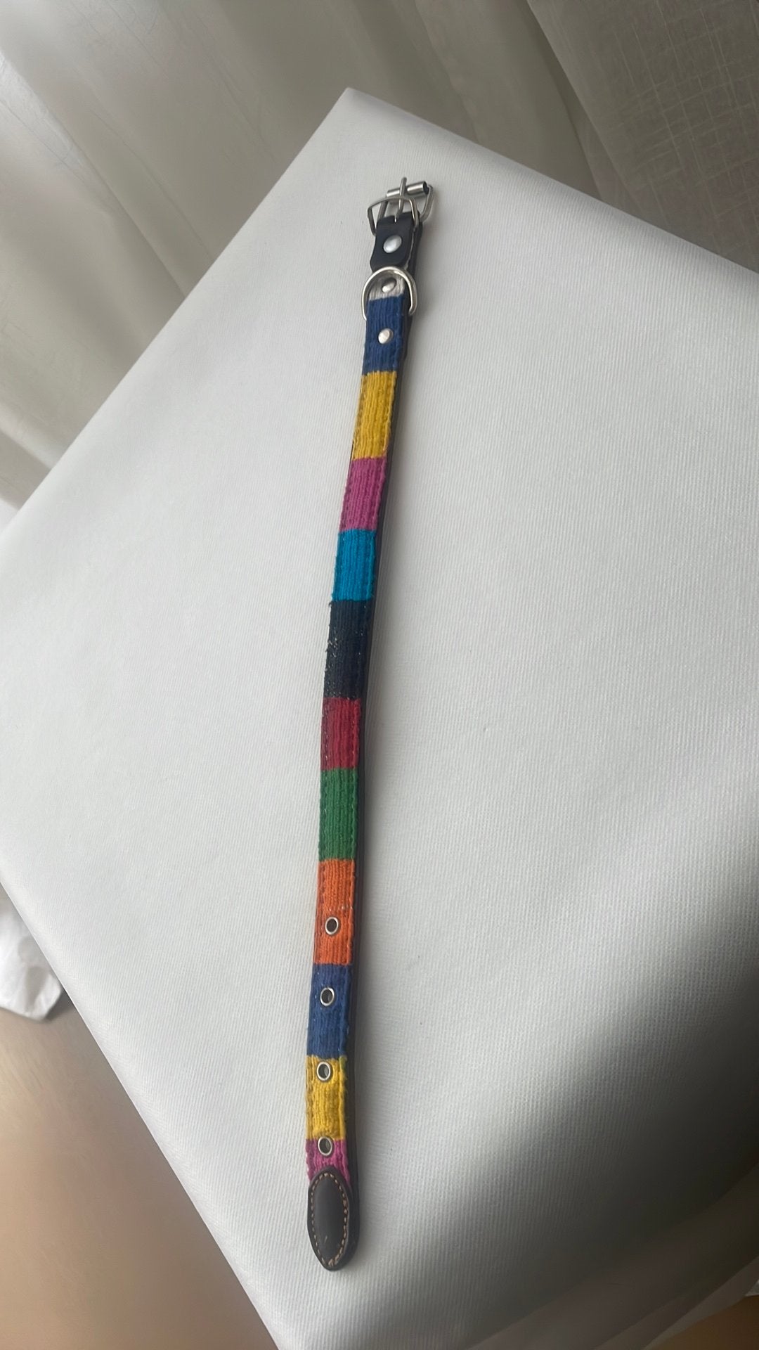 Nieuwe Leren Hondenhalsband - Multicolor Polo  (45 cm, Ophalen of Verzenden, Zo goed als nieuw