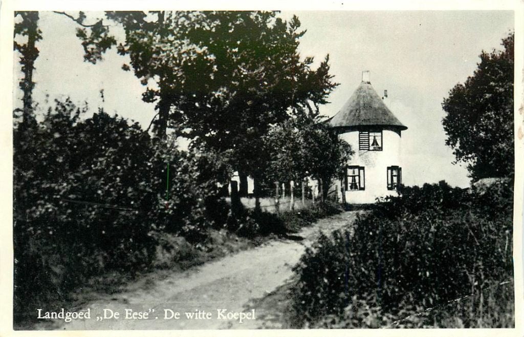 701-054-011 Steenwijk  Landgoed De Eese, Ophalen of Verzenden, Voor 1920, Overijssel