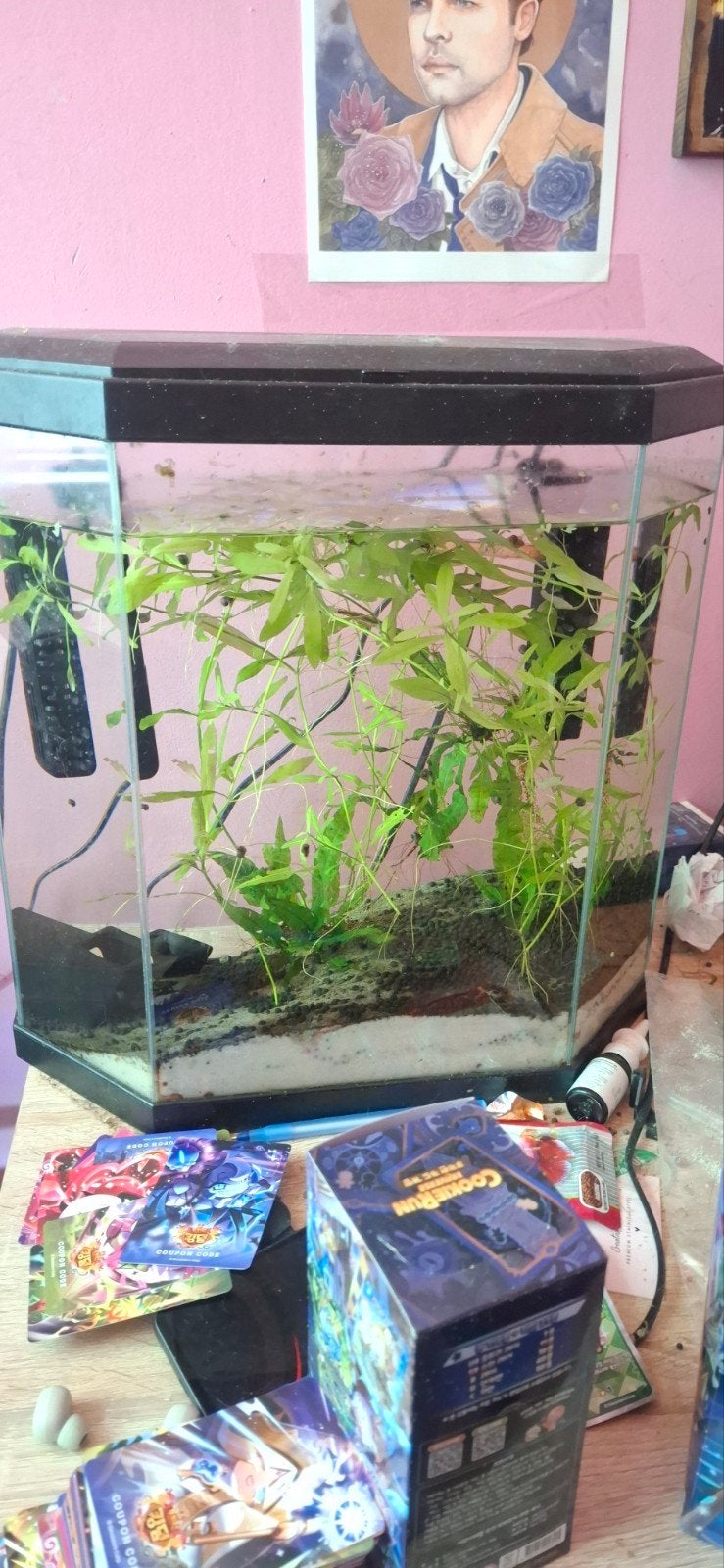 Aqaurium 25 liter, Ophalen, Gebruikt, Overige merken, Leeg aquarium
