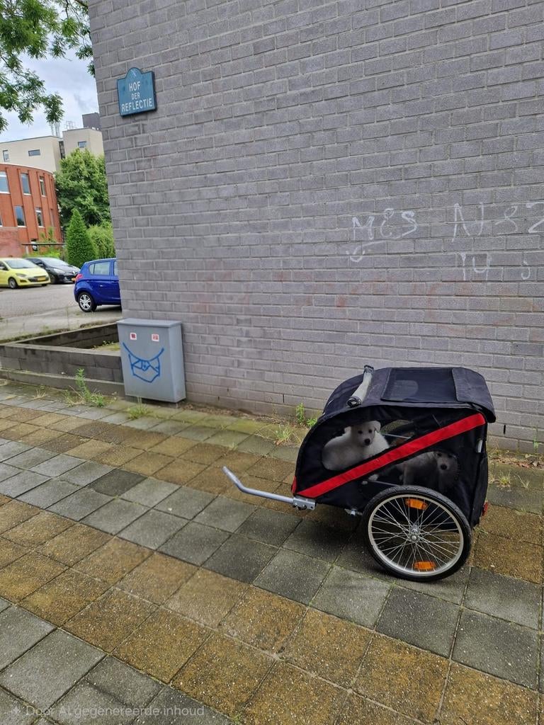 Nette Doggy Deluxe Fietskar met orthopedisch kussen, Fietsen en Brommers, Fietsaccessoires | Aanhangers en Karren, 20 tot 40 kg