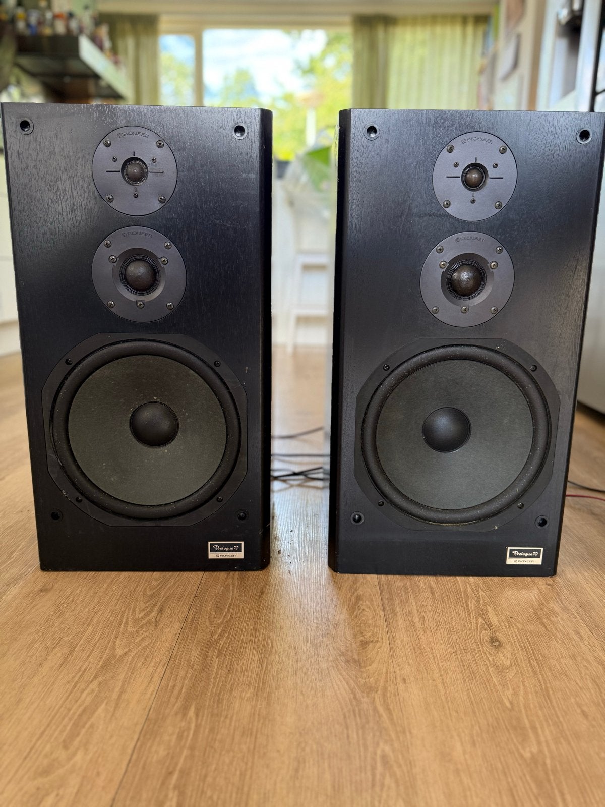 Pioneer Prologue 70 Speakerset - Gebruikt, Gebruikt, Speakerset, Ophalen of Verzenden, 60 tot 120 watt