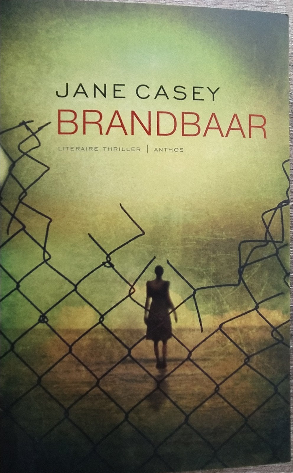 Jane Casey - Brandbaar, Europa overig, Ophalen of Verzenden, Zo goed als nieuw, Jane Casey