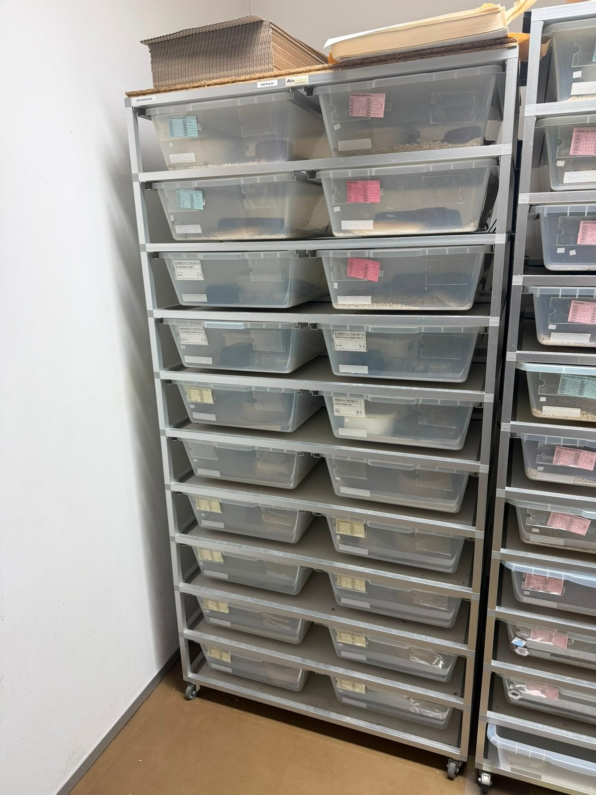 Broedmachines en racks, Ophalen of Verzenden, Zo goed als nieuw