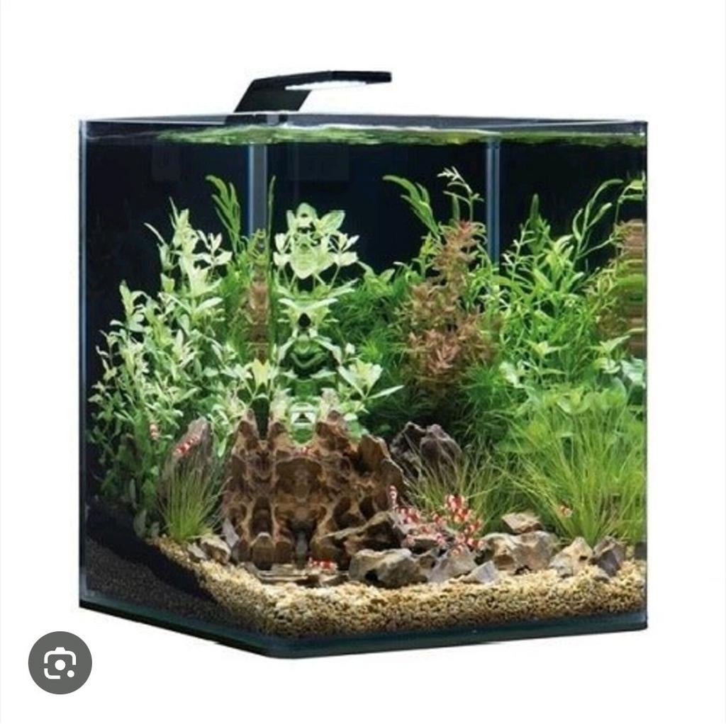 GEZOCHT!! Klein aquarium, Ophalen, Nieuw, Leeg aquarium