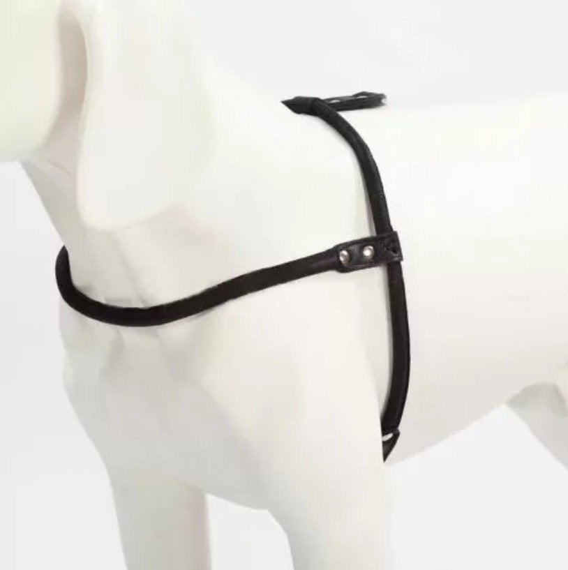 WAUDOG Soft Harnas / Hondentuigje Leder Borst 71-80 cm OP=OP, WAUDOG, Ophalen of Verzenden, Nieuw, Hondentuig