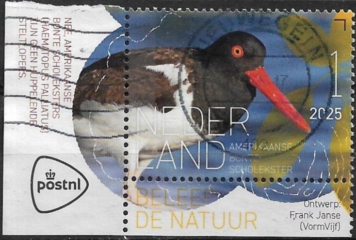 Nederland 2025 mi.4362 vogel ST. EUSTATIUS-SCHOLEKSTER hoek, Verzenden, Na 1940, Gestempeld