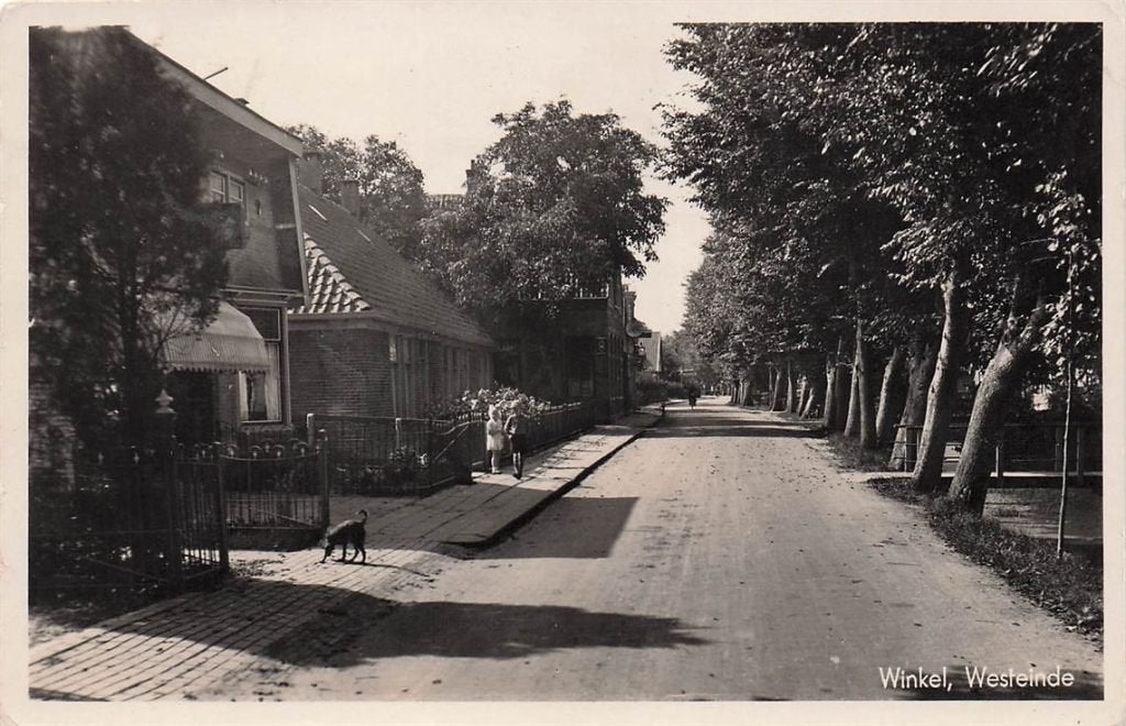 702-125-009 Winkel Westeinde, Ophalen of Verzenden, Voor 1920, Noord-Holland