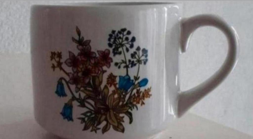 Beker/Soepkom Boltze met Bloemen opdruk, Ophalen of Verzenden, Zo goed als nieuw, Overige stijlen, Kop(pen) en/of Schotel(s)