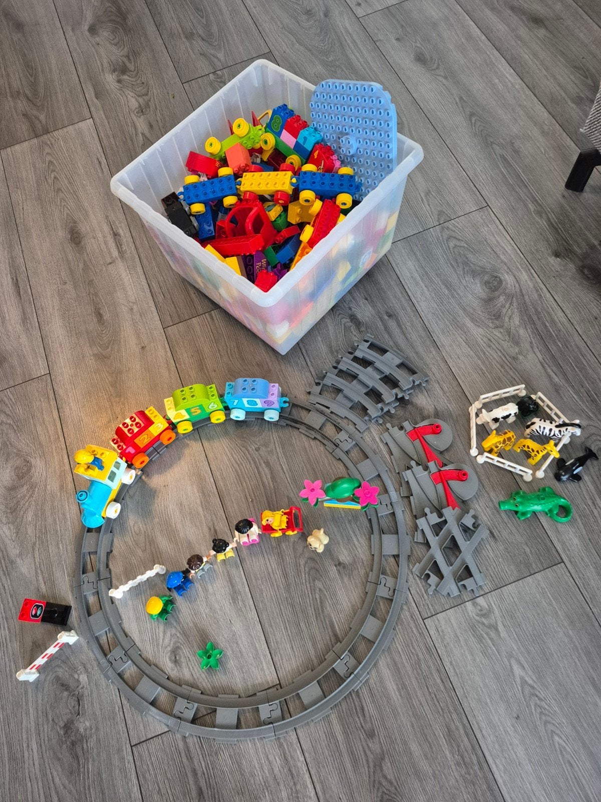 Grote bak LEGO DUPLO, Ophalen of Verzenden, Gebruikt, Overige merken