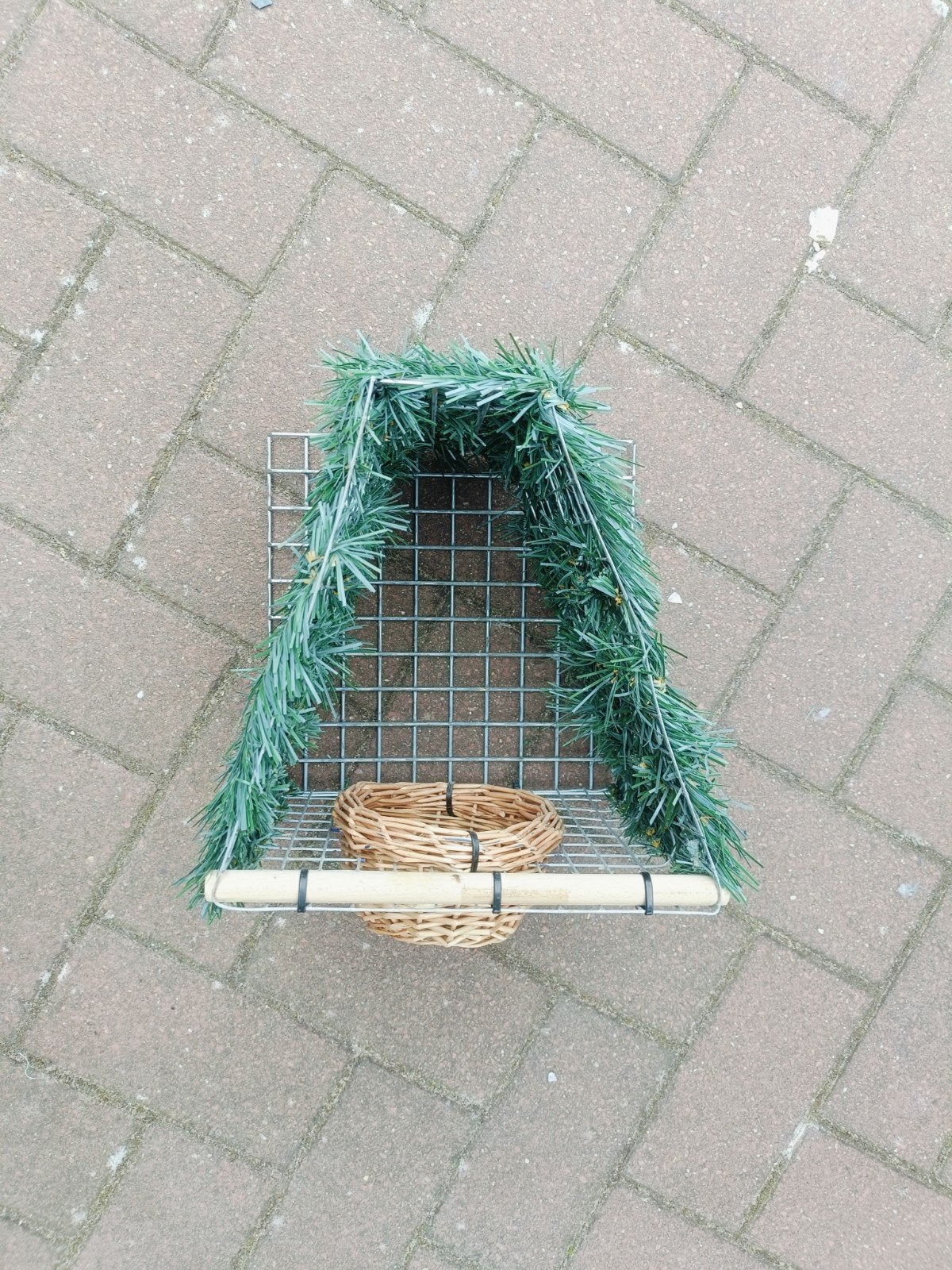 Lijster nest, Ophalen of Verzenden, Nieuw