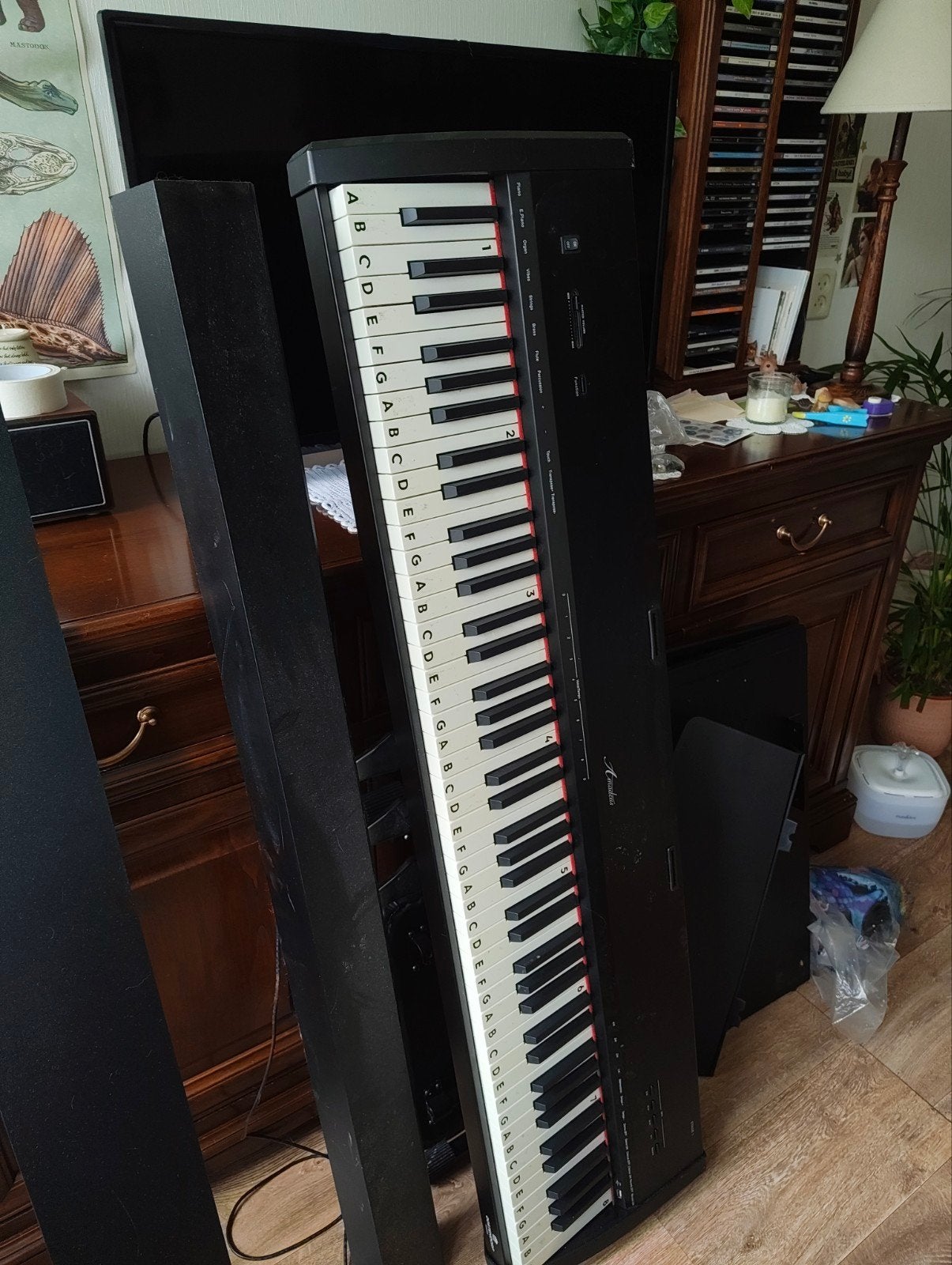 Amadeus keyboard (Oostendorp), Met standaard, Ophalen, Overige merken, 61 toetsen