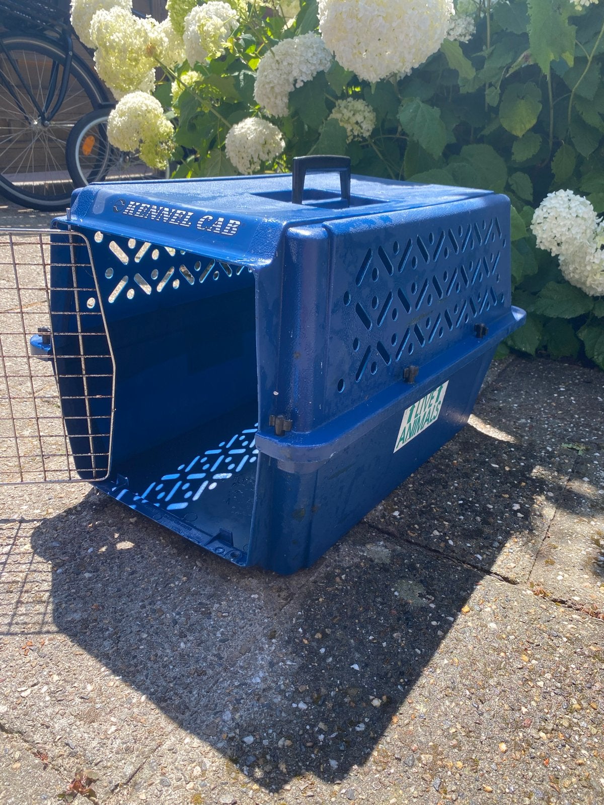 Transportbox, Dieren en Toebehoren, Ophalen of Verzenden, Gebruikt